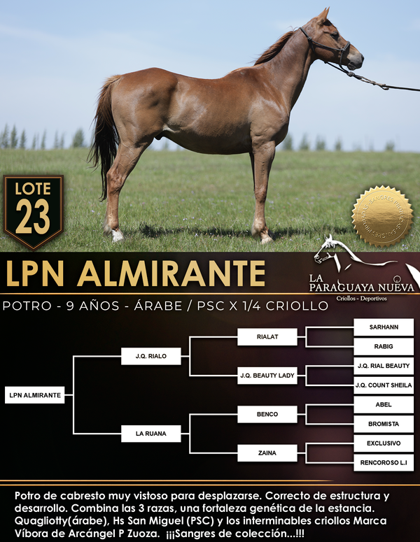 Lote LPN ALMIRANTE