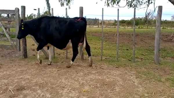 Lote Santo Domingo SA