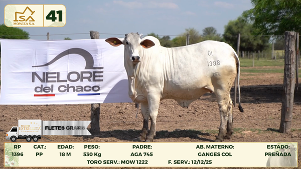 Lote LOTE 41