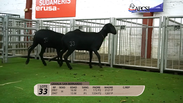 Lote Nacional Santa Inés Campo - Lote 33