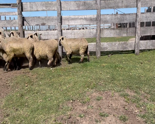 Lote 23 Corderas en Soriano, Dolores