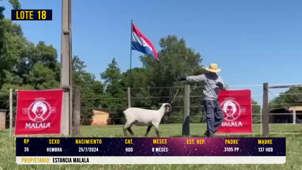 Lote LOTE 18