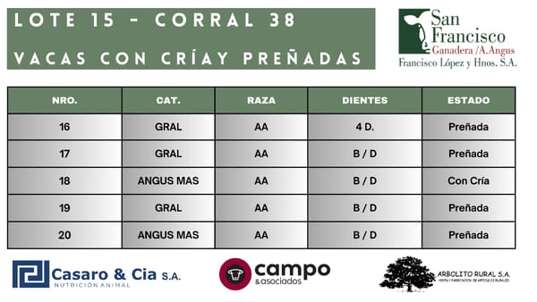 Lote Vacas con Cría y Preñadas San Francisco