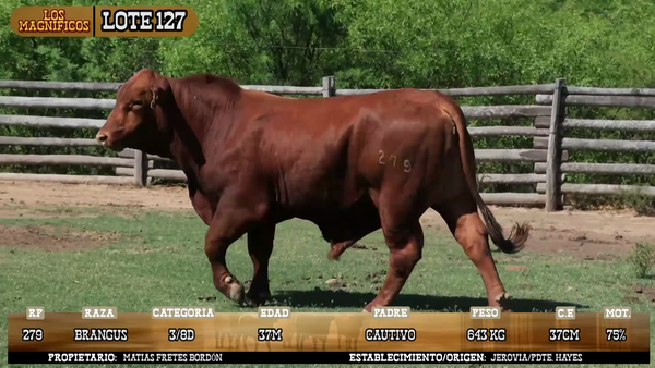 Lote LOTE 127