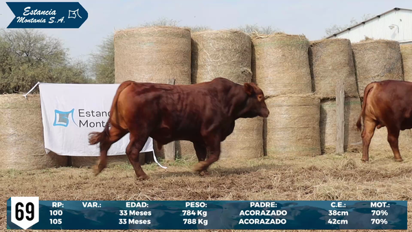 Lote LOTE 69