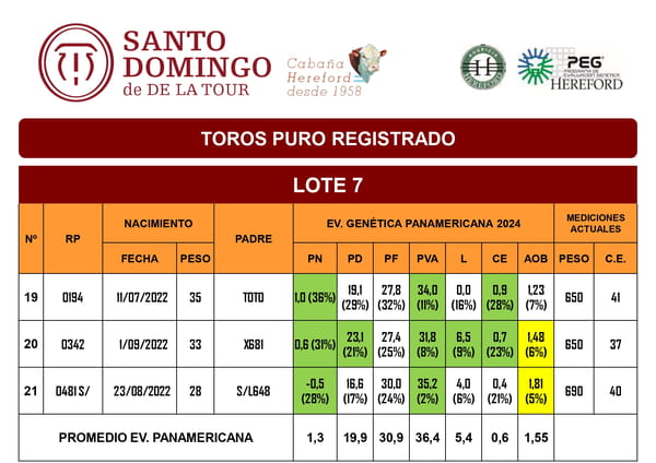 Lote TOROS PR (LOTES) - ( Incluye S/ )