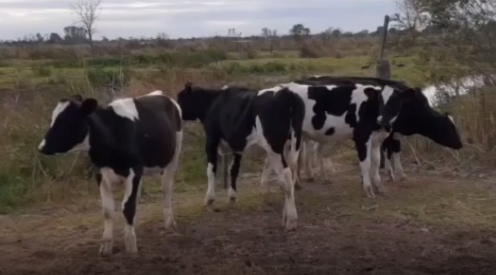 Lote 10 Ternetas en Rafaela, Santa Fe