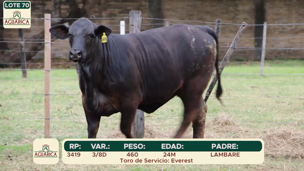 Lote LOTE 70