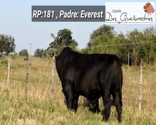 Lote CABAÑA "DOS QUEBRACHOS" 181