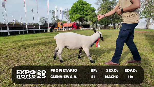 Lote RP 51