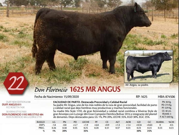 Lote TORO