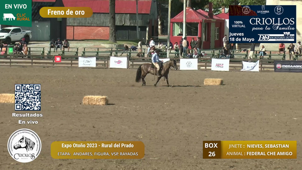 Lote FEDERAL CHE AMIGO - LYRINEL S.A.