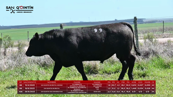 Lote Lote 3 - San Quintin