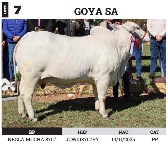 Lote LOTE 7 - PREÑECES
