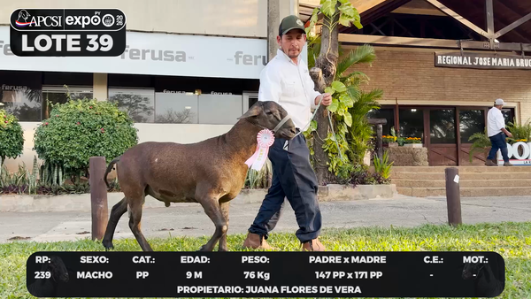 Lote LOTE 39 - BOZAL