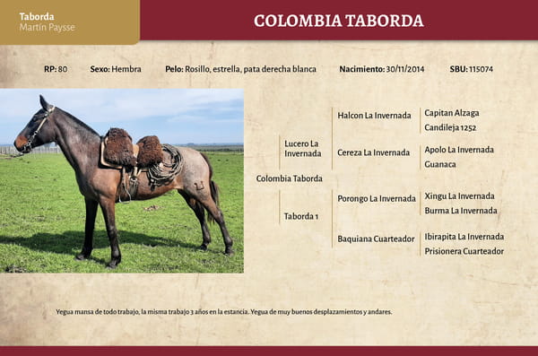 Lote Colombia Taborda (RP 80) - Cabaña Taborda