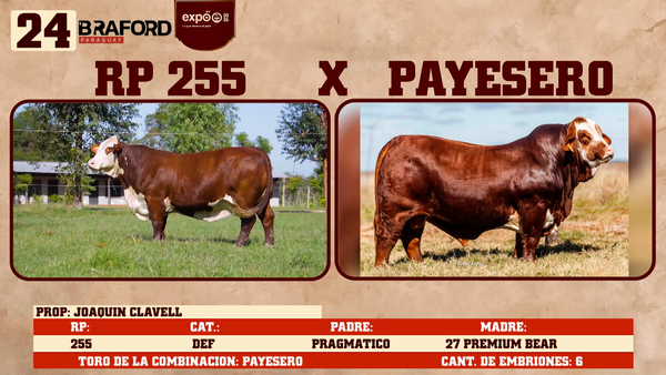 Lote LOTE 24