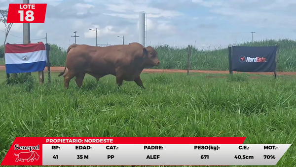 Lote LOTE 18