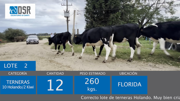 Lote 12 Terneras, Florida