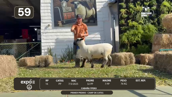 Lote LOTE 59 - BOZAL