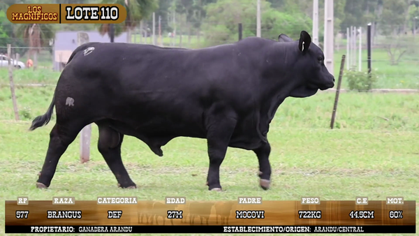 Lote LOTE 110