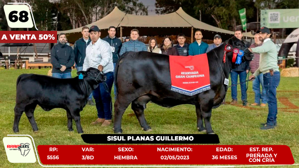 Lote LOTE 68- SALE A VENTA EL 50%