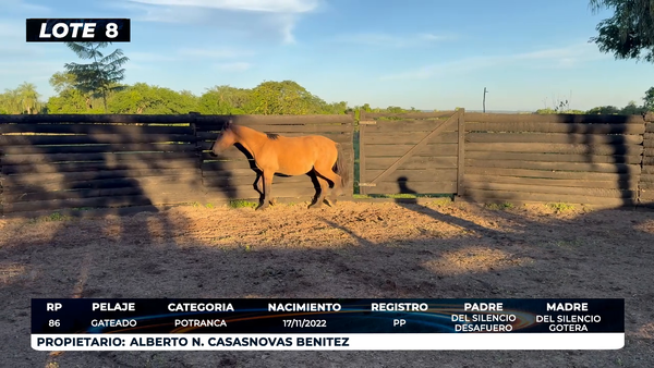Lote LOTE 8