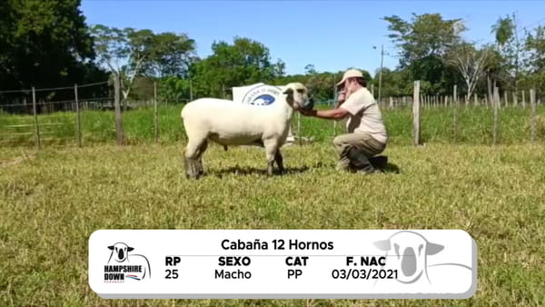 Lote LOTE 16 BOZAL - RP 25