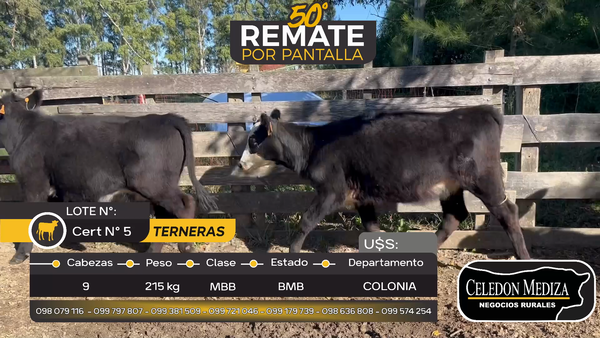 Lote 9 Terneras en Otra Localidad, Colonia