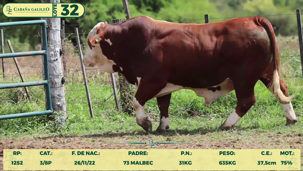 Lote LOTE 32