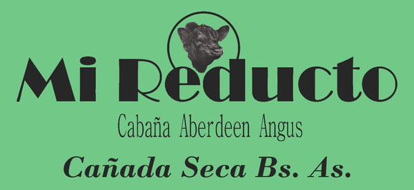 Lote 22 Vacas A. Negras MAS  c/ Gtia de Preñez