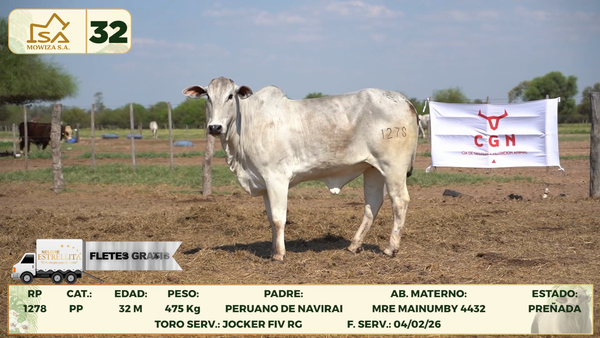 Lote LOTE 32