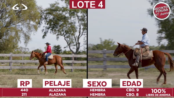 Lote Reproductores de Alborada - Lote 04