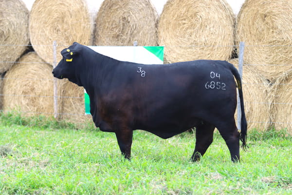Lote LOTE 10