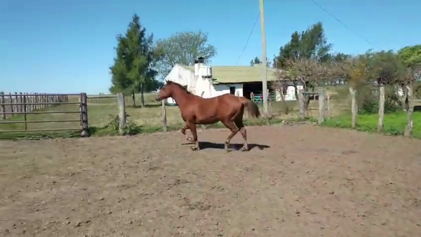 Lote 1 Padrillos en Corrientes, Curuzú-Cuatiá