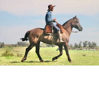 Lote SANTA GLORIA RATONERA