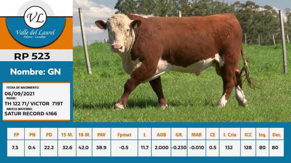 Lote Valle del Laurel