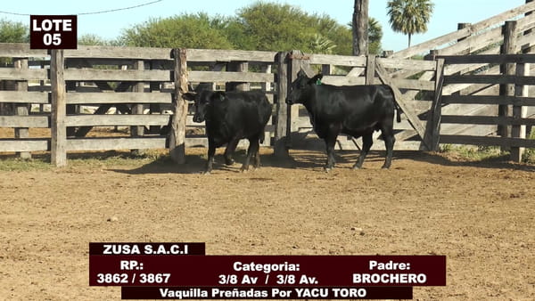 Lote Cabañas de Tradición - Lote 05