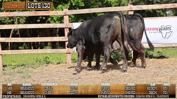 Lote LOTE 130 - PANTALLA
