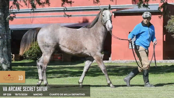 Lote Va Arcane Secret Satur