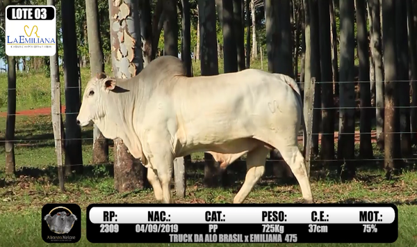 Lote LOTE 3-   RP K2309