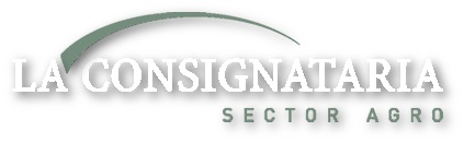 Lote ARRUDA EL TACUARAL