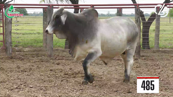 Lote Brahman