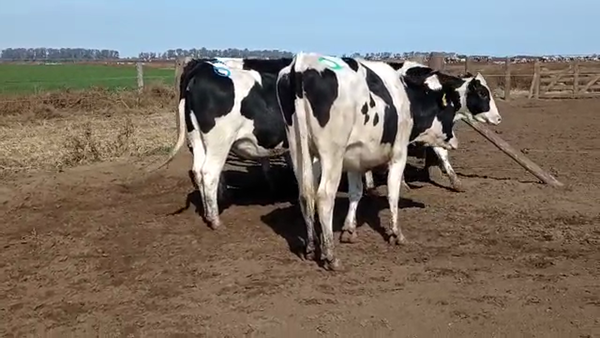 Lote Adeco Agropecuaria