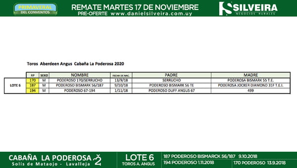 Lote Cabaña La Poderosa