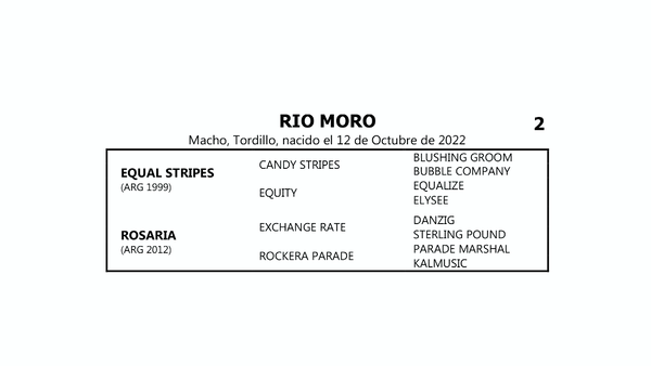 Lote RIO MORO (EQUAL STRIPES -  ROSARIA por  EXCHANGE RATE)