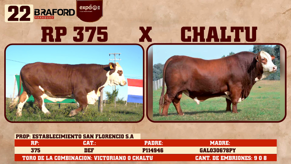 Lote LOTE 22