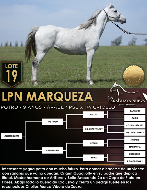 Lote LPN MARQUEZA