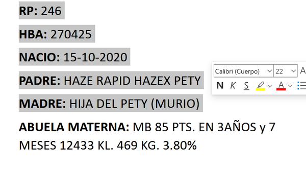 Lote Toros - Cabaña El Solaz