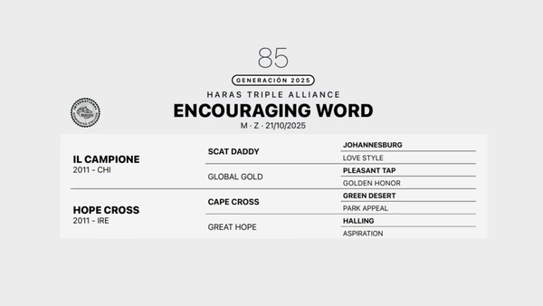 Lote ENCOURAGING WORD